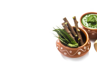 Tıbbi Neem yapıştır ile yaprakları ve beyaz arka plan üzerinde çırpı