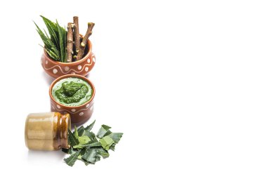 Tıbbi Neem yapıştır ile yaprakları ve beyaz arka plan üzerinde çırpı