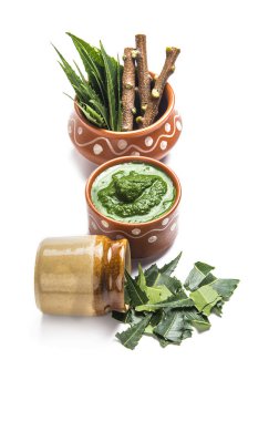 Tıbbi Neem yapıştır ile yaprakları ve beyaz arka plan üzerinde çırpı