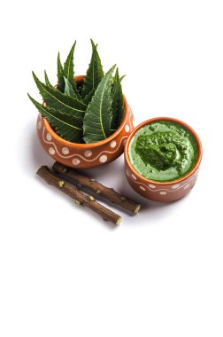 Tıbbi Neem yapıştır ile yaprakları ve beyaz arka plan üzerinde çırpı