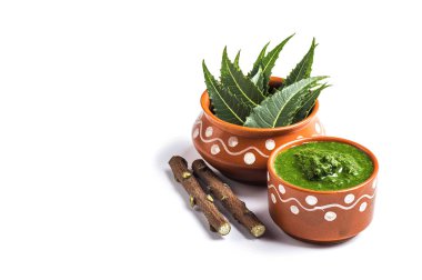 Tıbbi Neem yapıştır ile yaprakları ve beyaz arka plan üzerinde çırpı