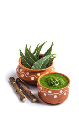 Tıbbi Neem yapıştır ile yaprakları ve beyaz arka plan üzerinde çırpı