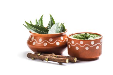 Tıbbi Neem yapıştır ile yaprakları ve beyaz arka plan üzerinde çırpı