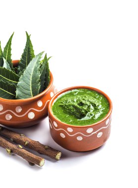 Tıbbi Neem yapıştır ile yaprakları ve beyaz arka plan üzerinde çırpı