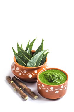 Tıbbi Neem yapıştır ile yaprakları ve beyaz arka plan üzerinde çırpı