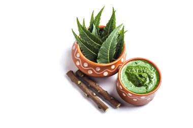 Tıbbi Neem yapıştır ile yaprakları ve beyaz arka plan üzerinde çırpı