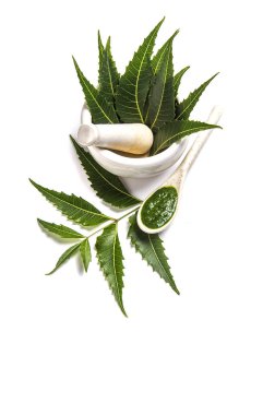 Beyaz zemin üzerine harç ve havaneli neem yapıştır ile tıbbi Neem yaprağı