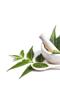 Beyaz zemin üzerine harç ve havaneli neem yapıştır ile tıbbi Neem yaprağı