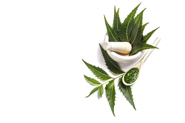 Medicinal Neem Leaves Mortar Pestle Neem Paste White Background — Stock Photo, Image