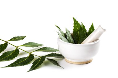 Harç ve havaneli ile tıbbi neem bırakır beyaz arka plan üzerinde