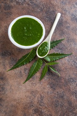 Taş zemin üzerine yapıştır ile tıbbi Neem yaprağı