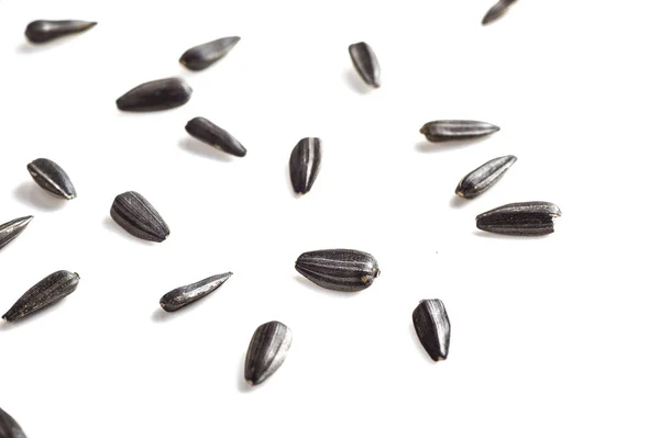 Sunflower Seeds on white background. Helianthus annuus. — Stock Photo, Image