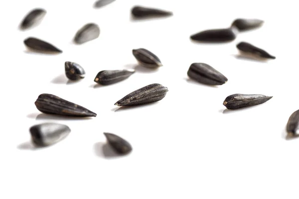 Sunflower Seeds on white background. Helianthus annuus. — Stock Photo, Image