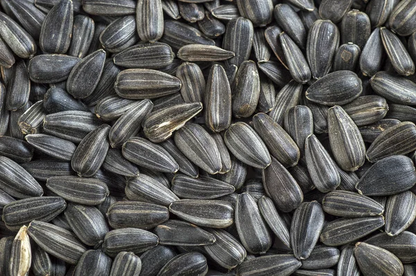 Black sunflower seeds. For texture or background