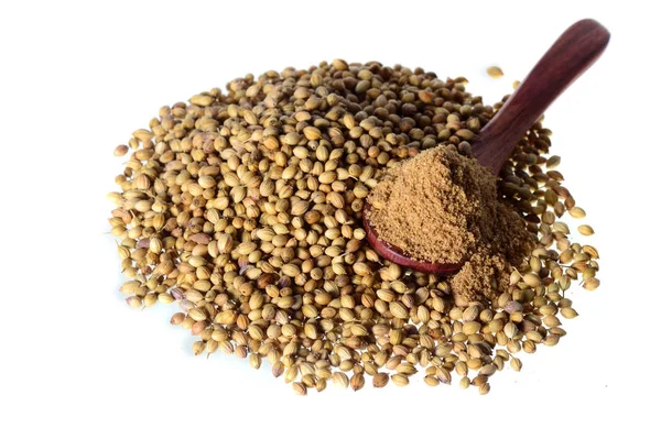 Coriander seeds, Fresh Coriander and Powdered coriander isolated — 스톡 사진