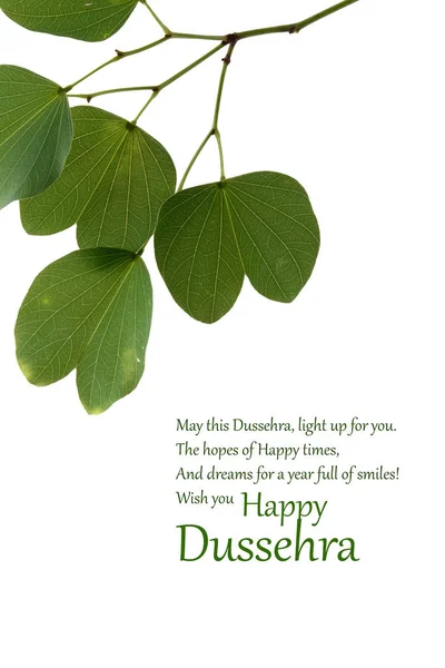 Индийский Фестиваль Dussehra Золотым Листом Piliostigma Racemosum Открытка — стоковое фото