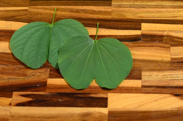 Indian Festival Dussehra, showing golden leaf . Greeting card. — Stock Photo, Image