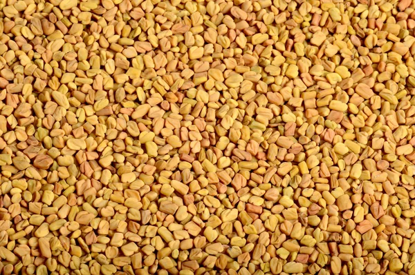 Fenugreek seeds as background. Close up texture — Stock Photo, Image