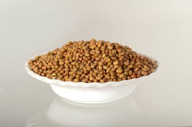 Moth Beans 'e yakın çekim, Hintli ismi Matki, güve fasulyelerine yakın çekim daha az bilinen bir bakla