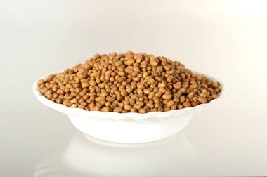 Moth Beans 'e yakın çekim, Hintli ismi Matki, güve fasulyelerine yakın çekim daha az bilinen bir bakla