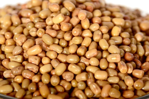 Closeup Of Moth Beans, Indian name Matki, Closeup of moth beans a less known legume — Fotografia de Stock