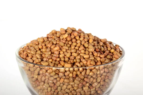Closeup of Mooth Beans, Ινδικό όνομα Matki, Closeup of Mooth beans ένα λιγότερο γνωστό όσπριο — Φωτογραφία Αρχείου
