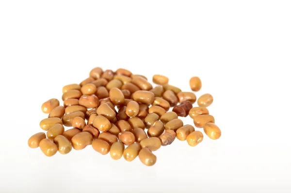 Closeup Of Moth Beans, Indiase naam Matki, Closeup van de bonen een minder bekende peulvrucht — Stockfoto