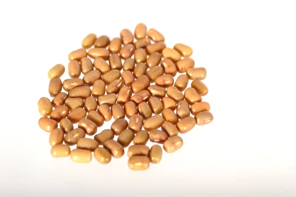 Closeup Of Moth Beans, Indian name Matki, Closeup of Moth beans Менш відомий легум — стокове фото