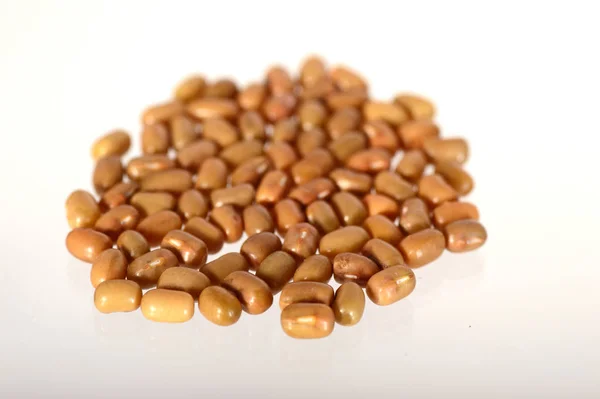 Closeup Of Moth Beans, Indian name Matki, Closeup of moh beans a lesser known legume — Stock fotografie