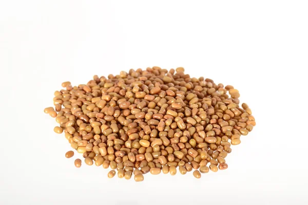 Closeup Of Moth Beans, Indian name Matki, Closeup of moh beans a lesser known legume — Stock fotografie