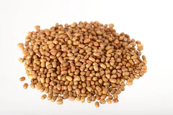 Closeup of Mooth Beans, Ινδικό όνομα Matki, Closeup of Mooth beans ένα λιγότερο γνωστό όσπριο — Φωτογραφία Αρχείου
