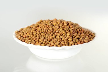 Moth Beans 'e yakın çekim, Hintli ismi Matki, güve fasulyelerine yakın çekim daha az bilinen bir bakla