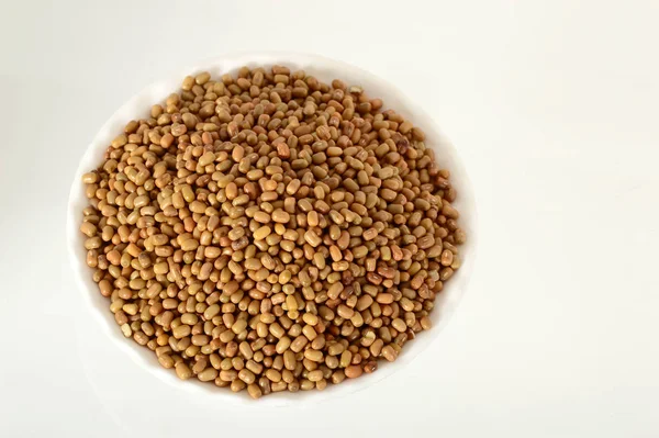 Closeup Of Moth Beans, Indian name Matki, Closeup of moh beans a lesser known legume — Stock fotografie