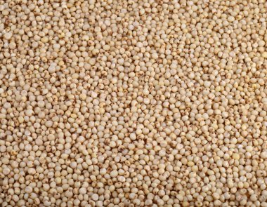 Sorghum arkaplan olarak düzenle, kapat.