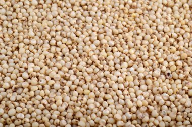 Sorghum arkaplan olarak düzenle, kapat.