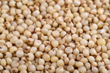 Sorghum arkaplan olarak düzenle, kapat.
