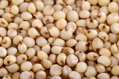 Sorghum arkaplan olarak düzenle, kapat.