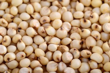 Sorghum arkaplan olarak düzenle, kapat.