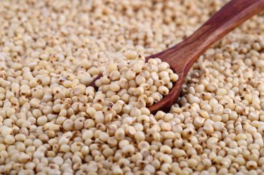 Tahta kaşıkla Sorghum 'a yaklaş..