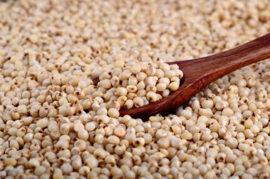 Tahta kaşıkla Sorghum 'a yaklaş..