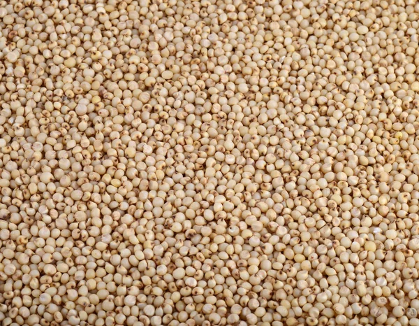 Sorghum arkaplan olarak düzenle, kapat.