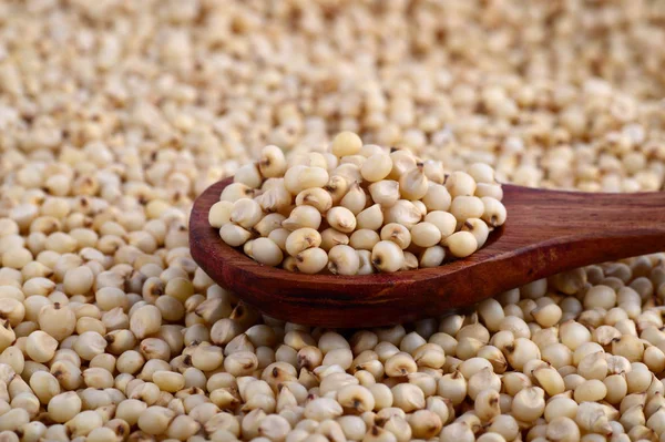 Primer Plano Sorgo Con Cuchara Madera — Foto de Stock