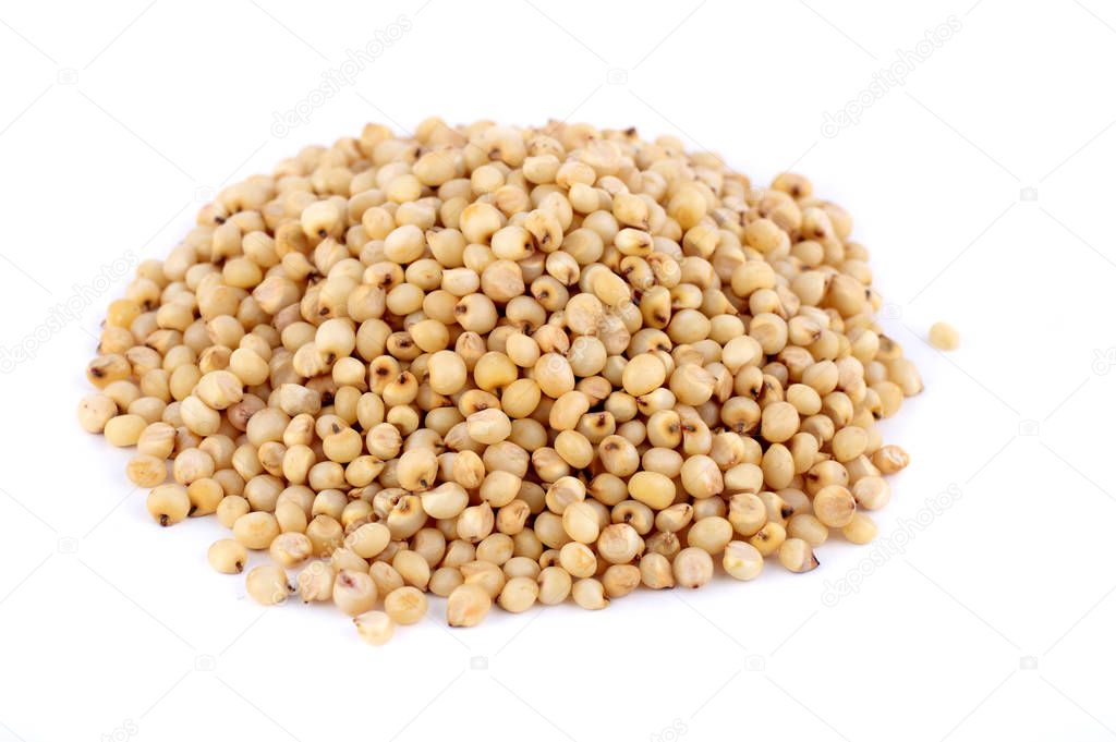 Heap of Jowar (Sorghum) on white background, Close up.