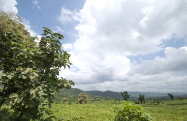 Güzel manzara ağaçlar ve dağ.