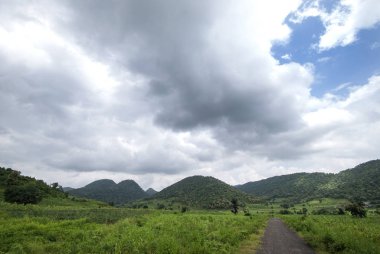 Güzel manzara ağaçlar ve dağ.