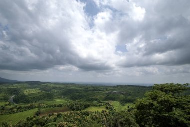 Güzel manzara ağaçlar ve dağ.