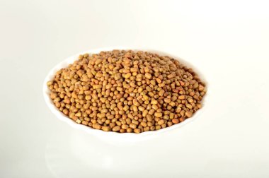 Moth Beans 'e yakın çekim, Hintli ismi Matki, güve fasulyelerine yakın çekim daha az bilinen bir bakla