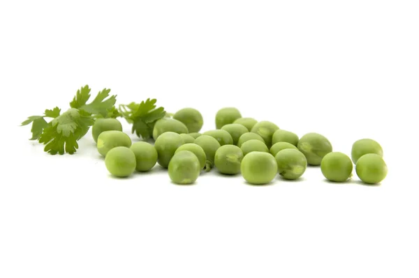 コリアンダーの葉が白い背景に隔離された新鮮な緑のエンドウ豆 — ストック写真