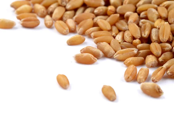 Heap of Wheat grains on a white background, close up. — Stock Photo, Image