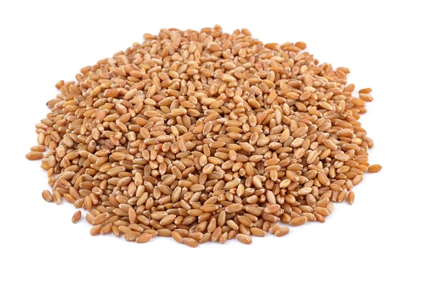 Heap de grãos de trigo em um fundo branco, close-up . — Fotografia de Stock